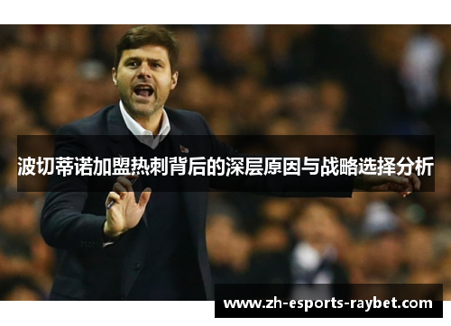 波切蒂诺加盟热刺背后的深层原因与战略选择分析