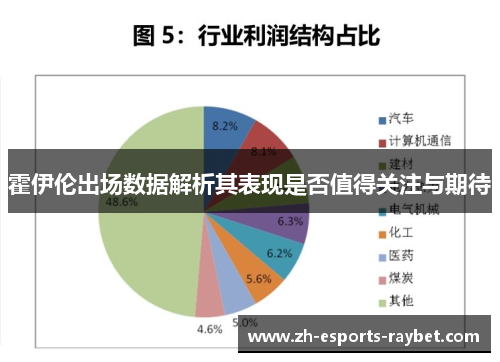 霍伊伦出场数据解析其表现是否值得关注与期待