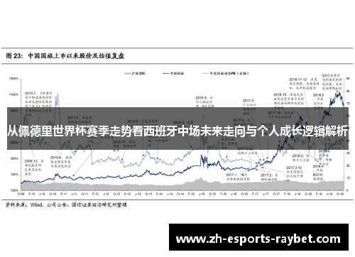 从佩德里世界杯赛季走势看西班牙中场未来走向与个人成长逻辑解析